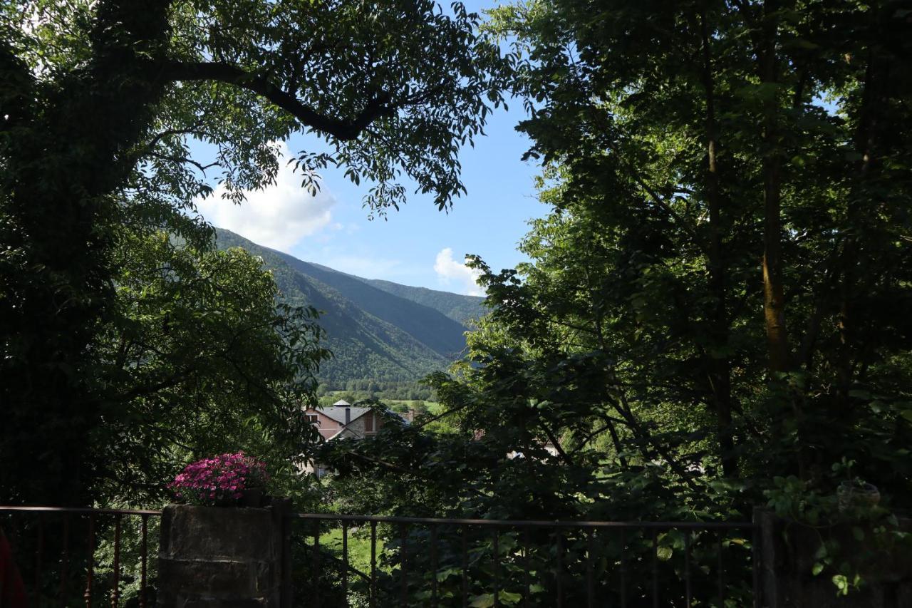 Sarvisé Casa Maria Bernaヴィラ エクステリア 写真