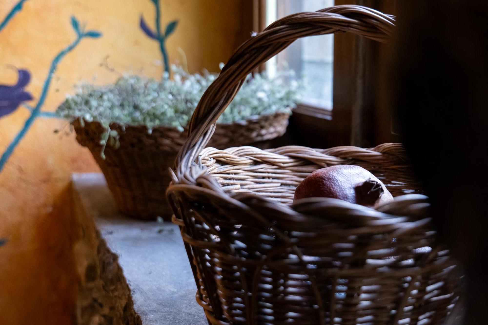 Sarvisé Casa Maria Bernaヴィラ エクステリア 写真